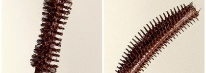 База от Sheglam - коричневая тушь, блеск для губ и двухэтажная пудра