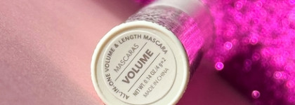 База от Sheglam - коричневая тушь, блеск для губ и двухэтажная пудра