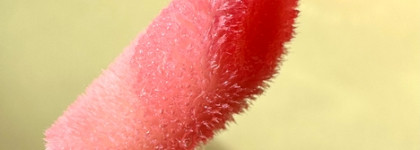 Солнцезащита моих губ этим летом - блески с SPF от Kiko Milano и Essence