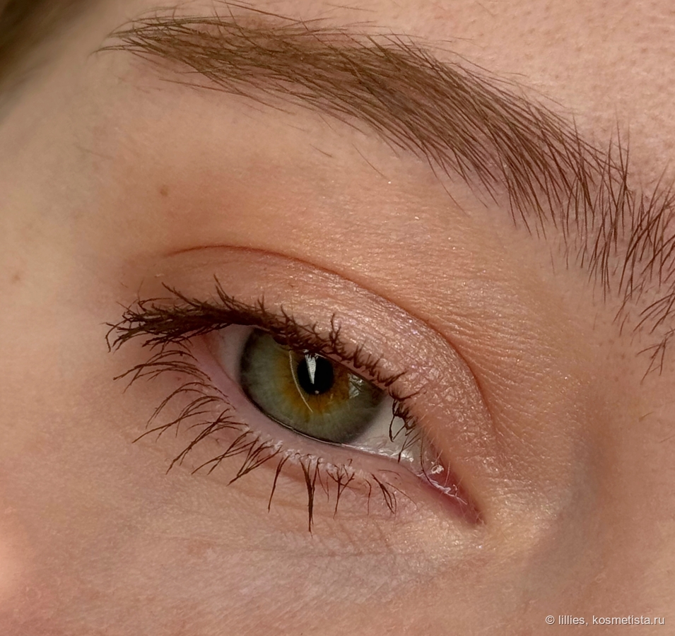 Sheglam Airglow Eye Tint в оттенке Nectar + тени lilibyred