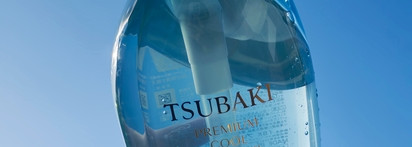 Охлаждающая линейка для волос Shiseido Tsubaki Premium Cool & Repair