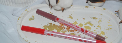 Карандаш для губ моего любимого бренда Vivienne Sabo Le Grand Volume в оттенках 03 и 04