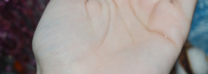 Не подружились: Beauty by Stesha Шампунь для волос увлажняющий для ежедневного ухода