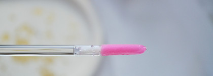 Вайб 2000-х: блеск для губ Vivienne Sabo Histoires Infernales Lip Gloss в оттенке 01