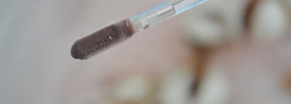 Еще один коричневый: блеск для губ Luxvisage Icon Lips Glossy Volume в оттенке 511 Dark Chokolate