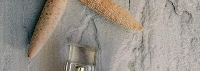 Моя коллекция любимой парфюмерии: Hugo Boss, Versace, Trussardi, Lancome, Calvin Klein