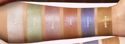 Кто проживает в волшебном лесу?