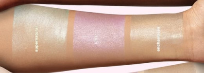 Кто проживает в волшебном лесу?