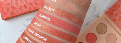 Coast To Coral Collection