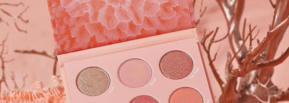 Coast To Coral Collection