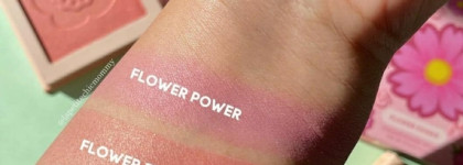 Colour pop x Animal Crossing