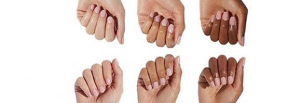 Curator eyeshadow collection by Hourglass