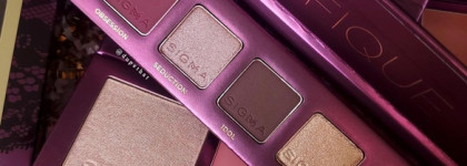 Magnifique collection by Sigma beauty