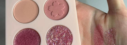 Wet n wild :Blooming collection