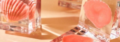 Cute as shell by essence