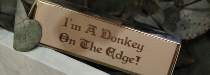 "А Вы не видели здесь моего Осла?"I heart revolution x Shrek LipStick в оттенке Donkey