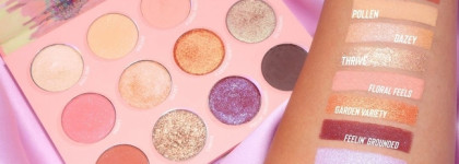 Heavy Petal collection by colour pop