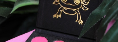 Что ожидать от "Смущенный Улыбчивый Аксолотль" by Tammy Tanuka?