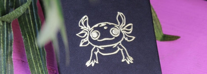 Что ожидать от "Смущенный Улыбчивый Аксолотль" by Tammy Tanuka?