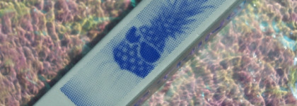 За что же их так все любят?Тушь для ресниц Rad "All that juice mascara" (004 electric)