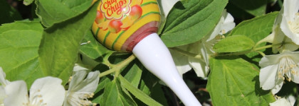 Что общего у манго и тинта для губ Chupa Chups "Lip Locker" (Mango)?