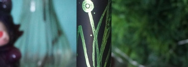 Помада, вызывающая восторг! Girlcult Compendium of Materia Medica Collection Love Whisper Lipstick 9(S06 Gentian)