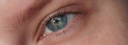Искала медь, а нашла золото.Divage Lamination Brow Gel