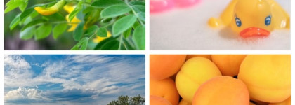 Ностальгический пост об ароматах Dzintars: Кокетка 3 и 4, Solo