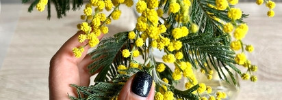 Infusion de Mimosa от Prada. Нежданно-негаданно пришла в мою жизнь