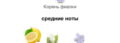 Citrus Molecule RudRoss — цитрусовое удовольствие, радость и солнечное настроение