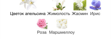 Love, Don’t Be Shy By Kilian — аромат, в котором фледоранж играет главную скрипку