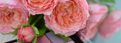 Новинка Romanovamakeup Sexy Eyeshadow Palette Rose & Peonies