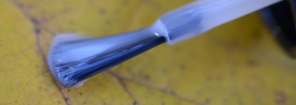 Лаки для любого случая. Подборка лаков Anny (много фото)