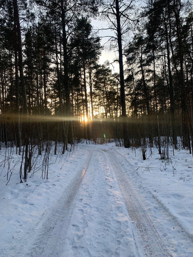 Закат в зимнем лесу г.Псков