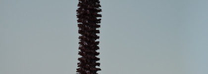 Pupa Vamp! Exceptional Volume Mascara #200 коричневая - объемная тушь для ресниц