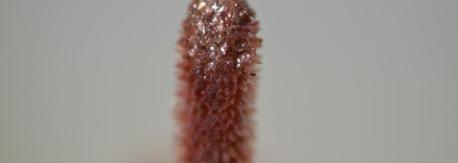 Luxvisage и комплименты от мужа