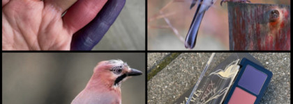 Птичка певчая StasyAlex #E24 Sparkling Jay