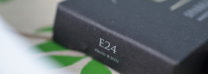 Птичка певчая StasyAlex #E24 Sparkling Jay