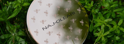 Naj Oleari тени для век и водостойкий карандаш для глаз. Небанальное сочетание: бургунди и бирюза