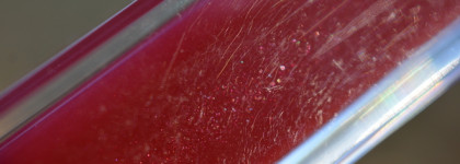 Cle De Peau Beaute Radiant Lip Gloss #8 Fire Ruby – Блеск для губ