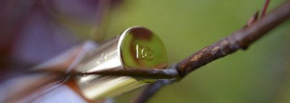 Запах города. Так пахнет осенний городской парк: Dolce&Gabbana Devotion