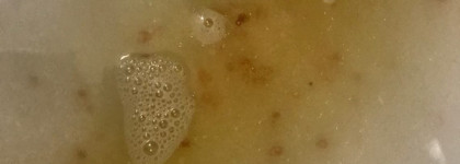 Восточная сказка для Шамаханской царицы с Zeitun