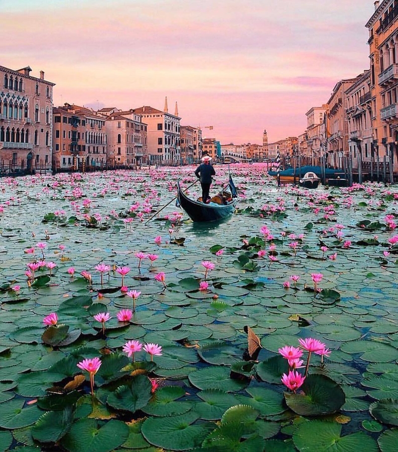 Романтика Венеции