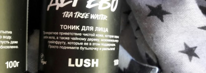 Хороший базовый уход - тоники Живая вода (Breath of fresh air) и Чайное дерево (Tea tree water) от Lush