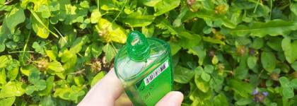 Сила - в свежести? Гель Алоэ от Holika Holika Soothing Gel Aloe 99%