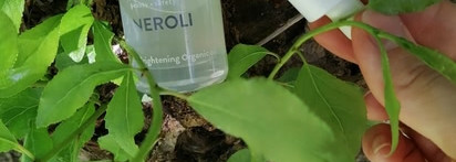 Ночная маска и масло для сияния кожи от Aromatica