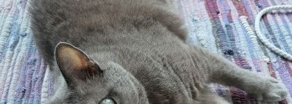 Утро к первой паре. Страдание. Принятие