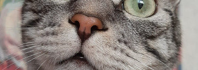 Утро к первой паре. Страдание. Принятие