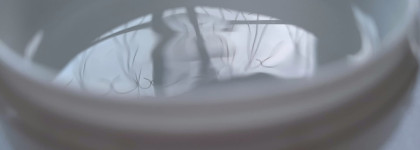 Ecobox - натуральная косметика. Сыворотка и ночная маска для лица с добавлением витаминов