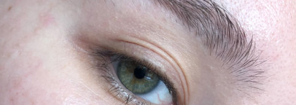 Чудо-баночка для непослушных бровей Brow Jelly от Vivienne Sabo